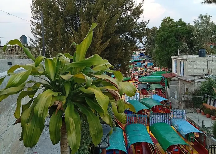 Comodo Departamento En Xochimilco *